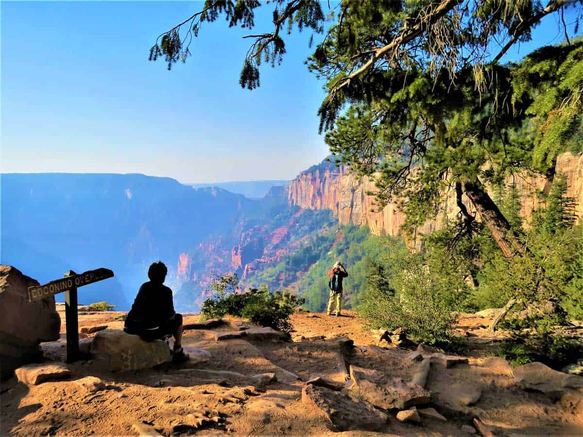 A picture perfect lookout at Coconino Saddle, Grand Canyon.