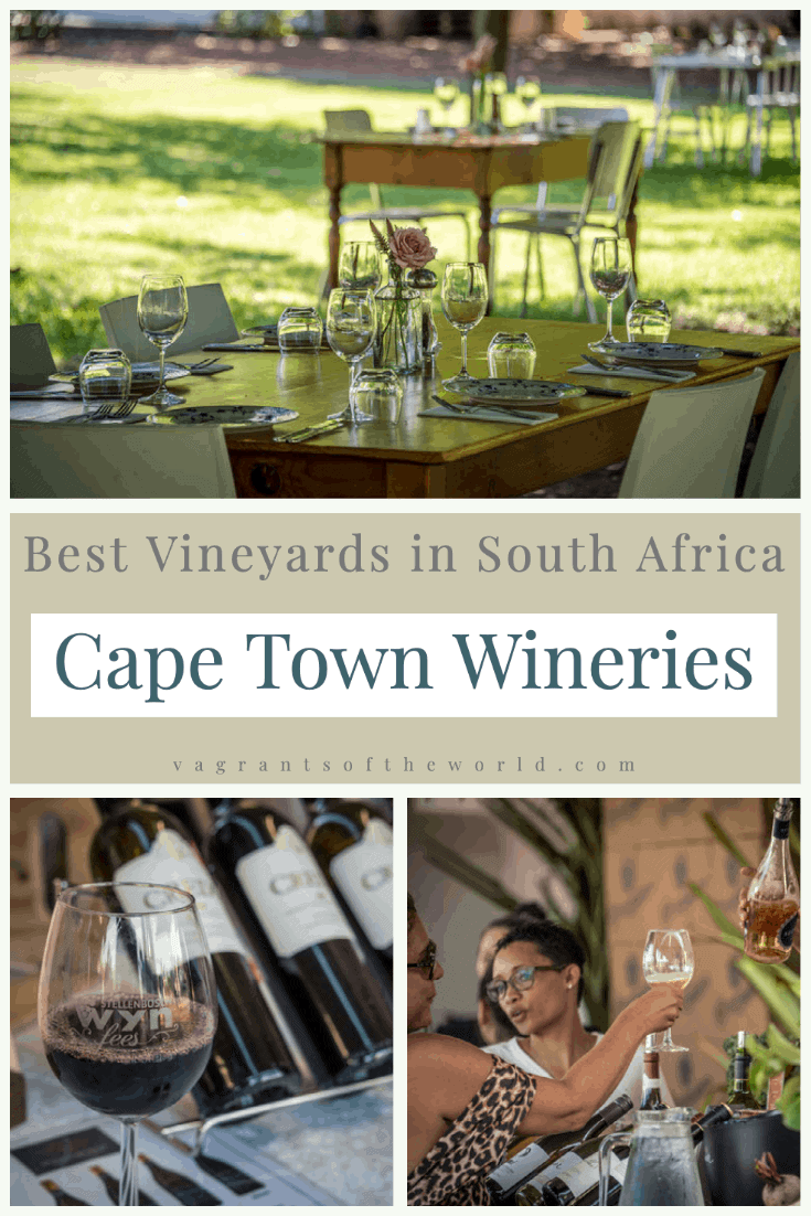 best vineyards in south africa capetown wineries