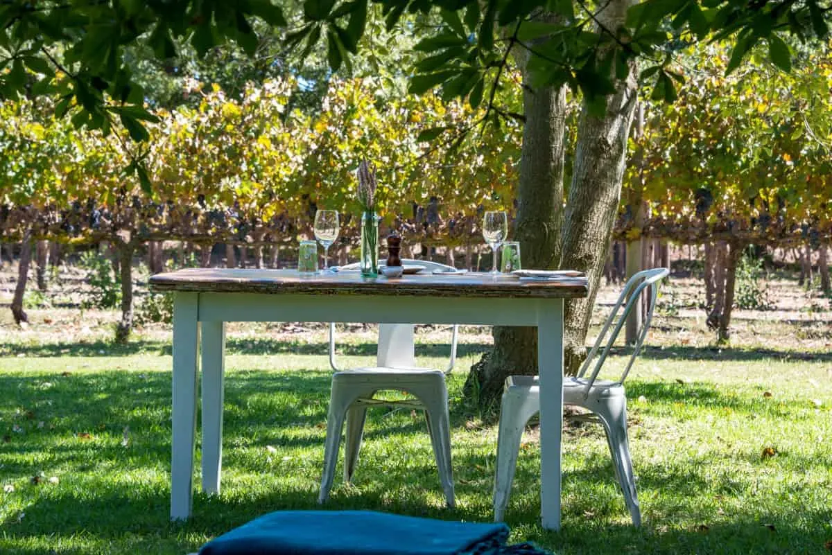 Table set for lunch in gardens next to the grape vines in a Cape Town winery. 