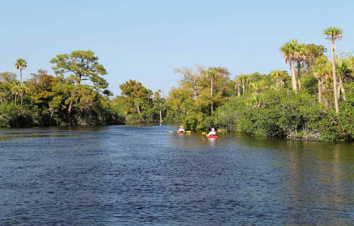 People in Kayaks on the Loxahatchee River Florida.