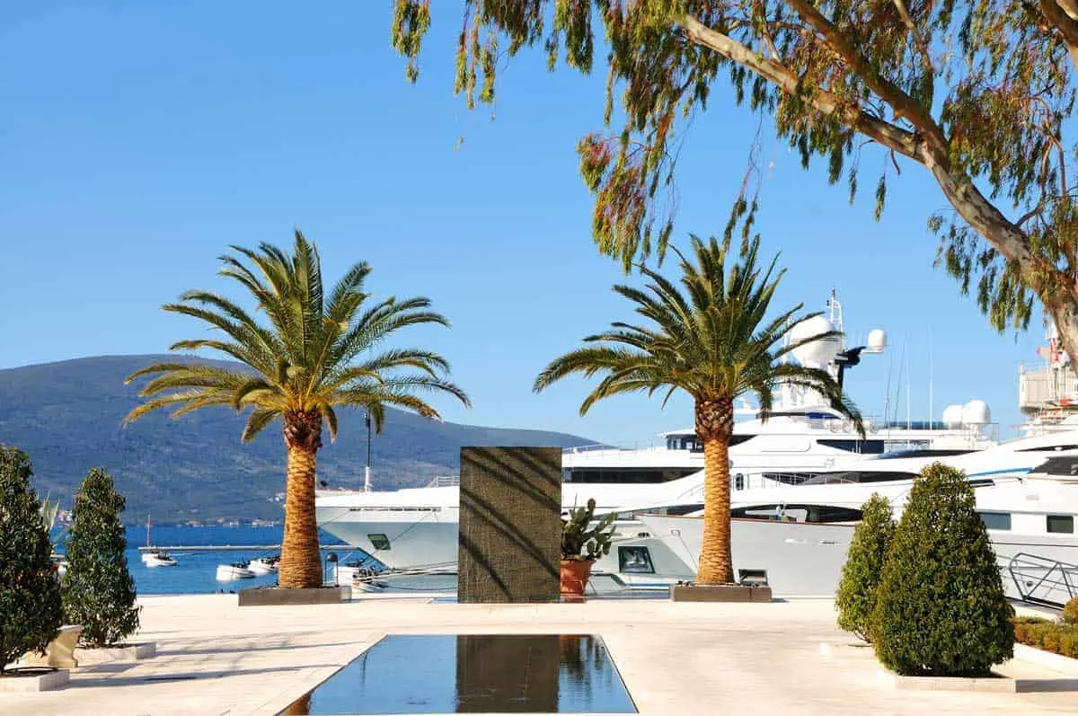 Luxury yachts moored up in a marina with palm trees in Montenegro.