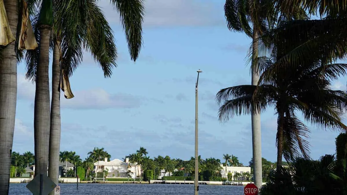 Mansions and palm trees along the waterfront of West Palm Beach. 