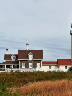 Highland Lighthouse with high grass in the foreground at Cape Cod