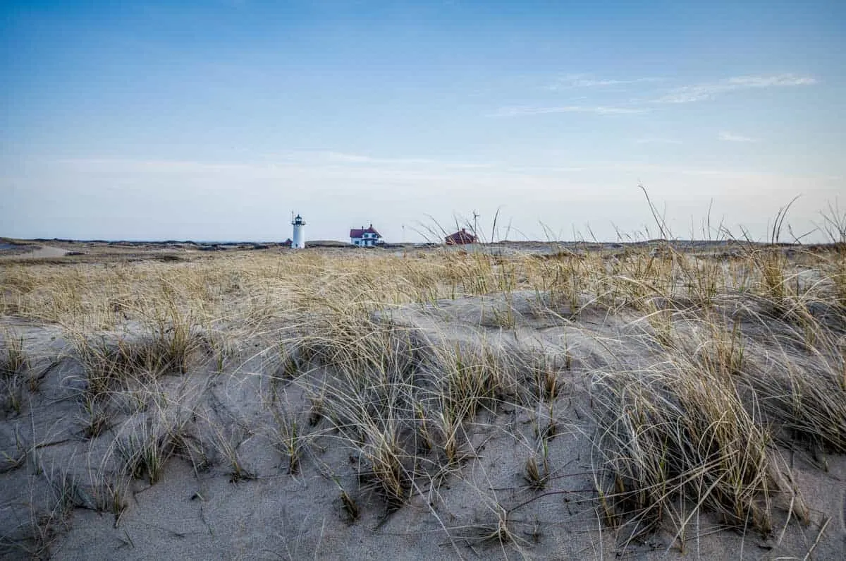 Looking over the grassy sand dunes towards the lighthouses on Cape Cod National Seashore.