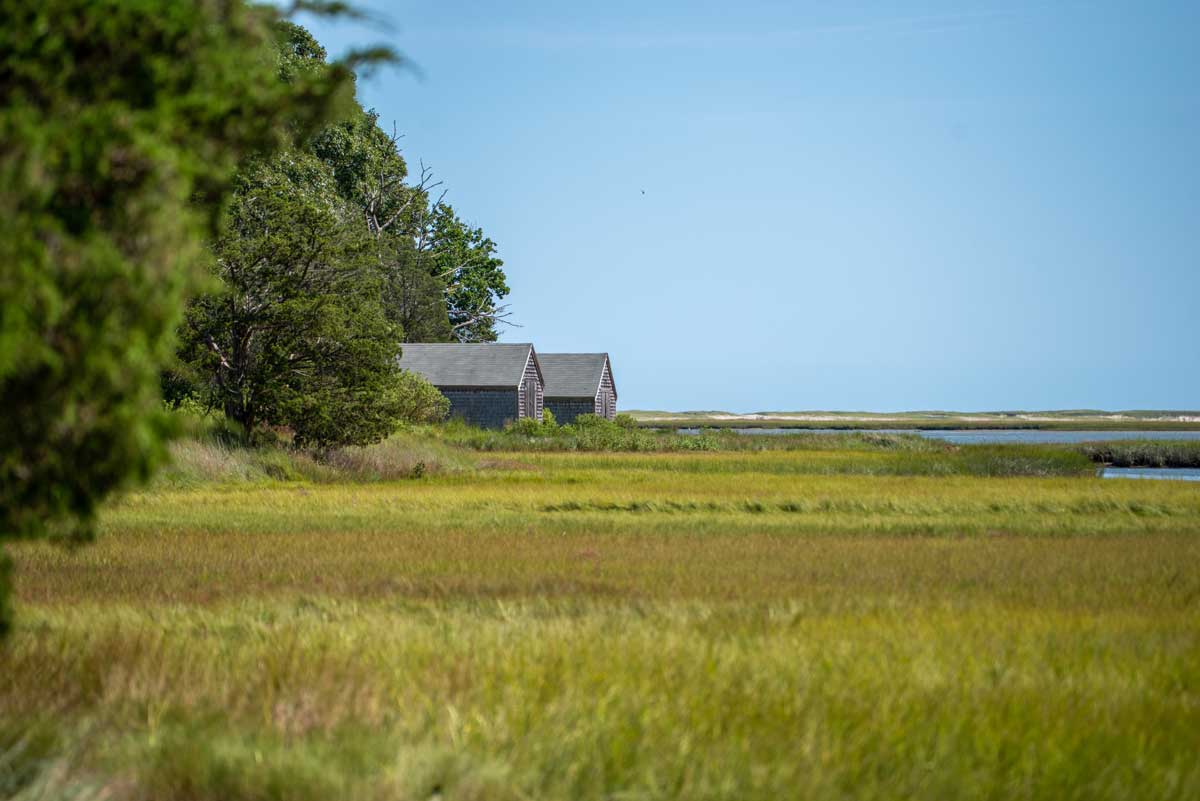 Green grass marshland with houses in the distance on the Nauset Marsh hike on Cape Cod.
