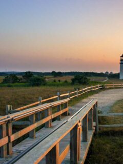 Race Point lighthouse at sunset with fields and boardwalk in the foreground.