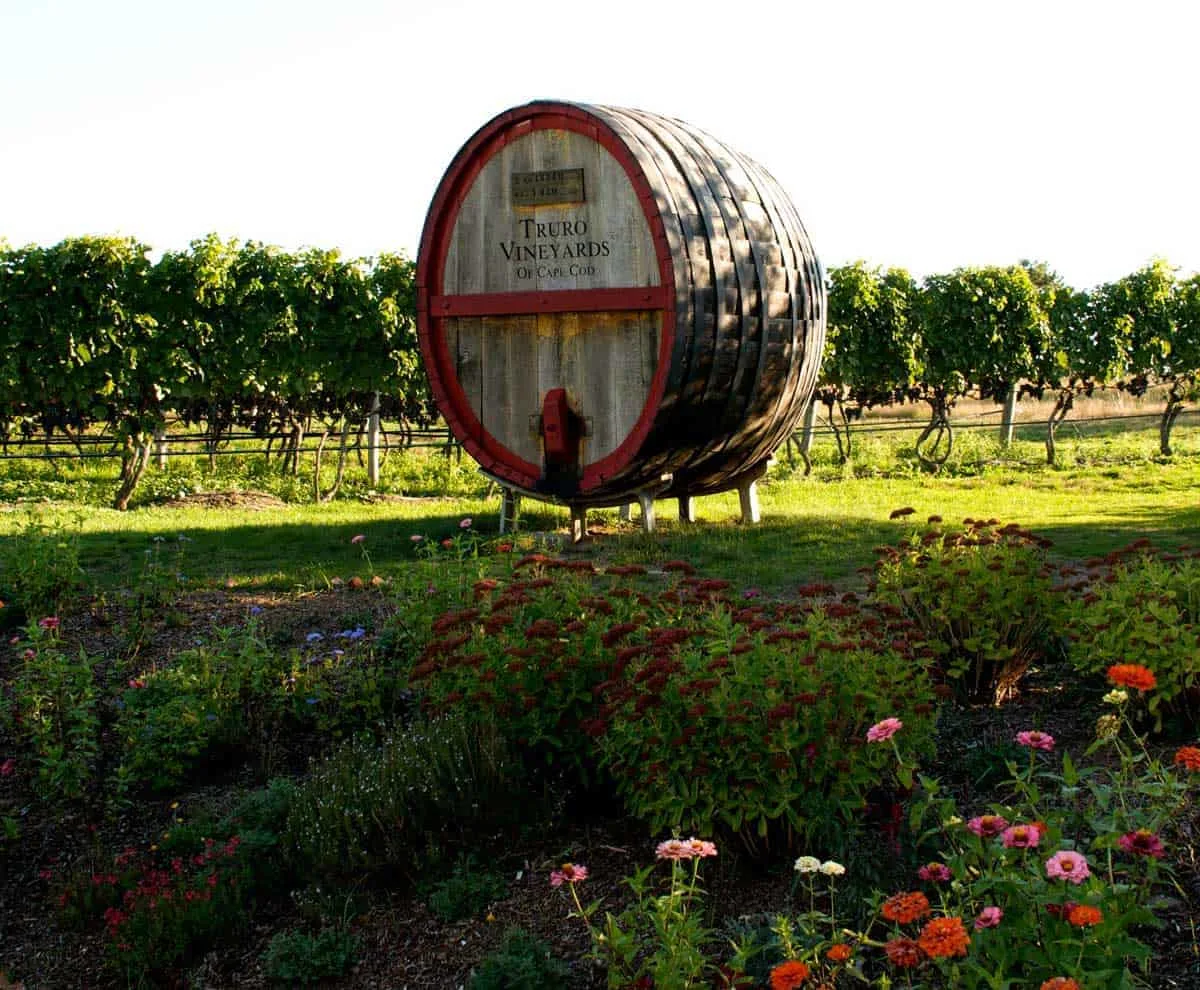 A large wine barrel next to the vineyards at Truro Vineyards in Cape Cod.
