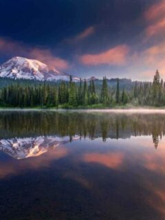 cropped-Mt-Rainier-and-reflections.jpg