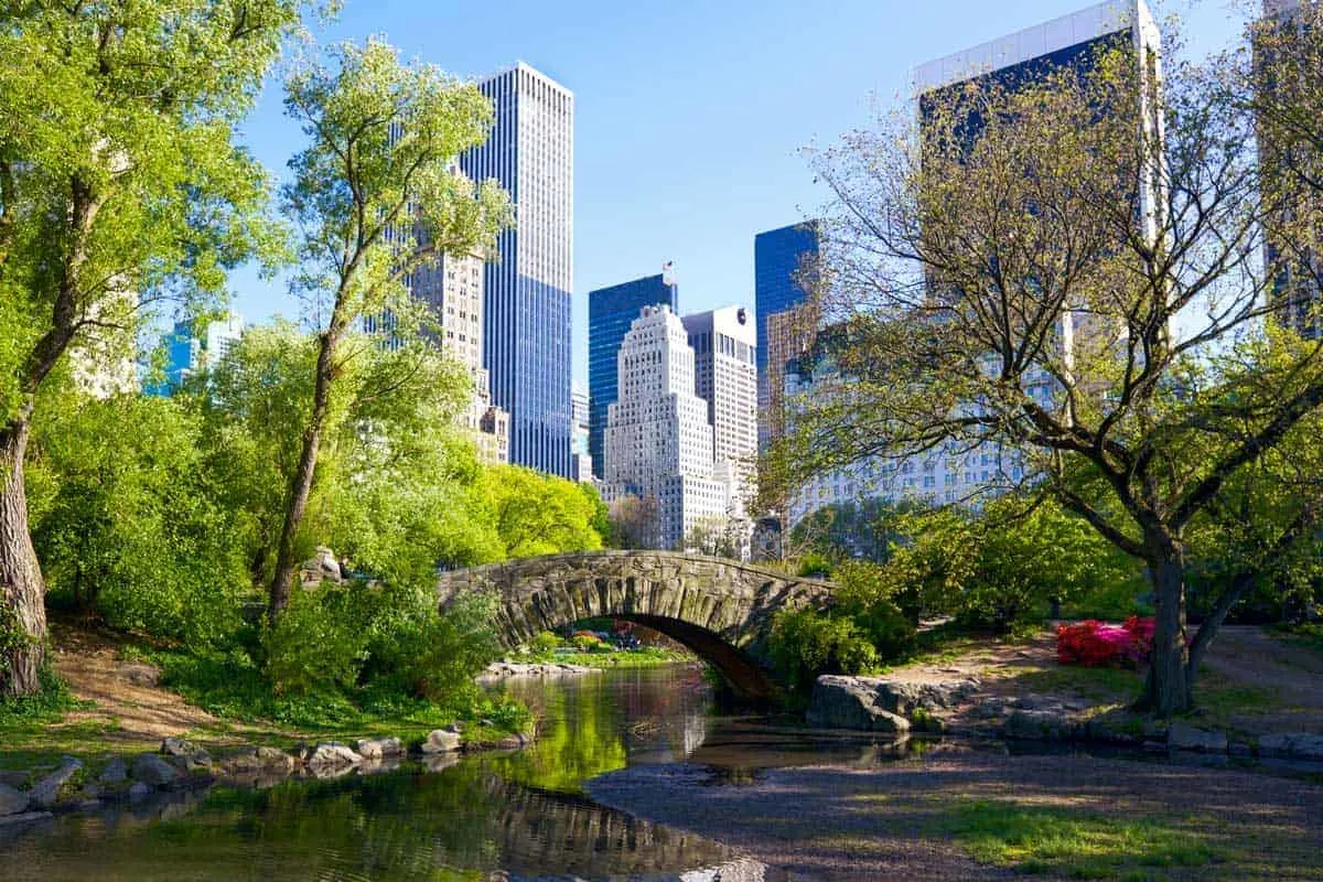 central park New York in summer with city skyline in the background. 