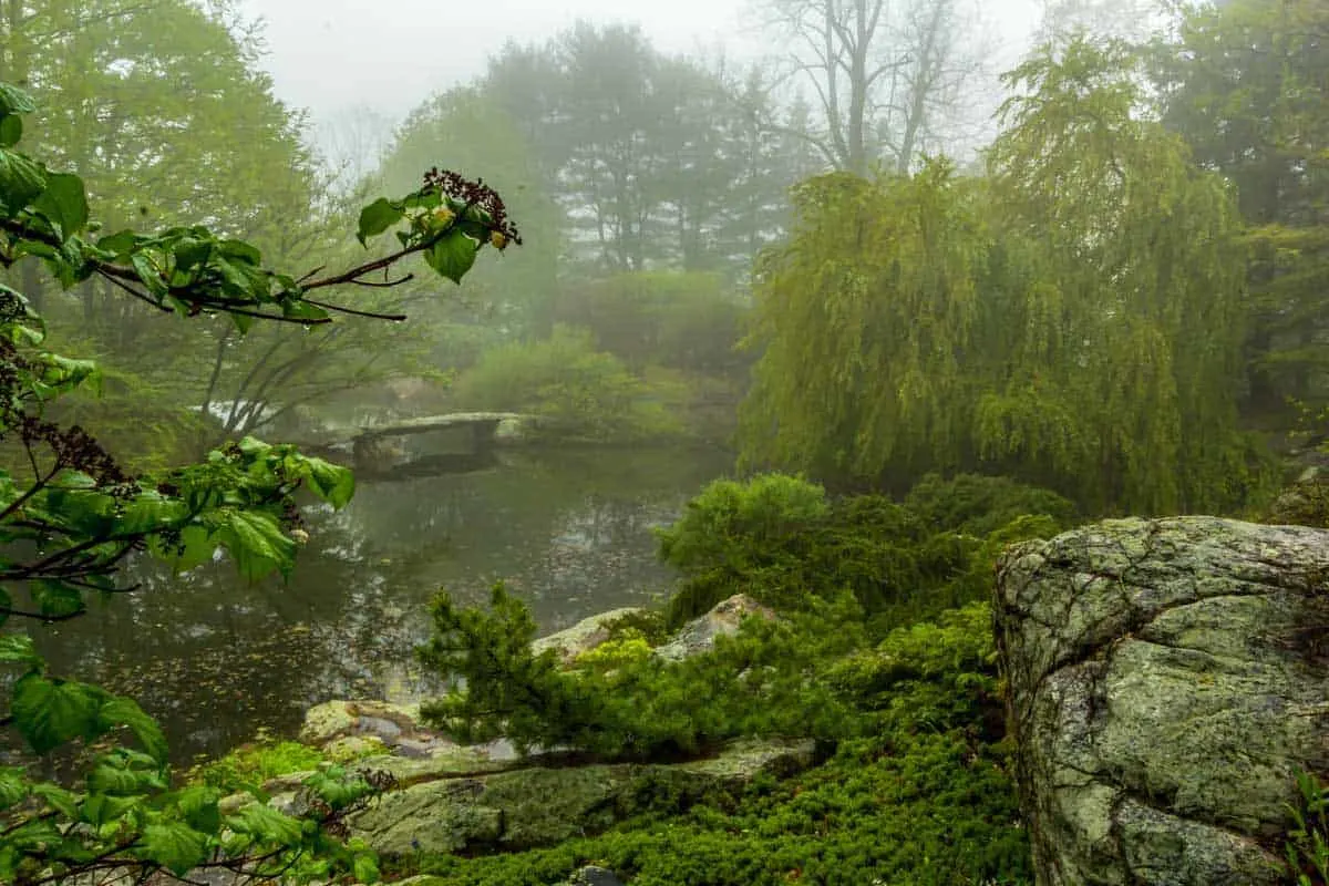 Foggy view over a a lake in lush green gardens.