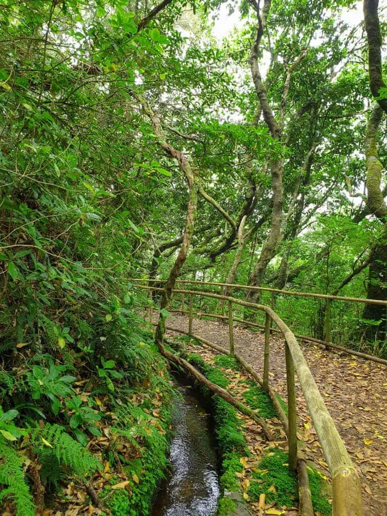 Walking trails along the levadas on Madeira Island.