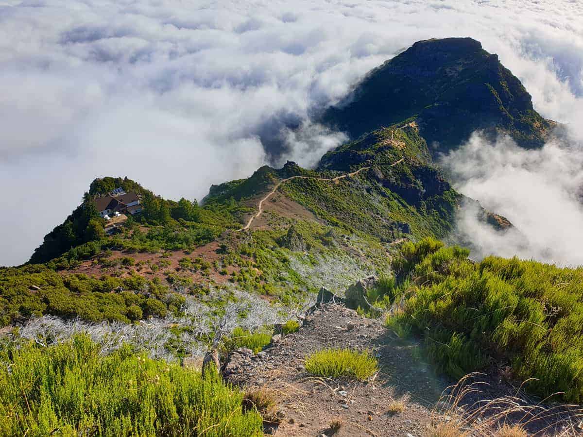 madeira mountain tours