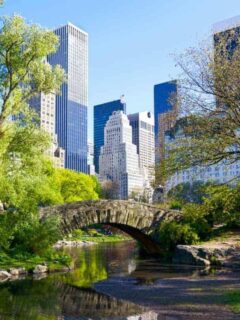 central park New York in summer with city skyline in the background.