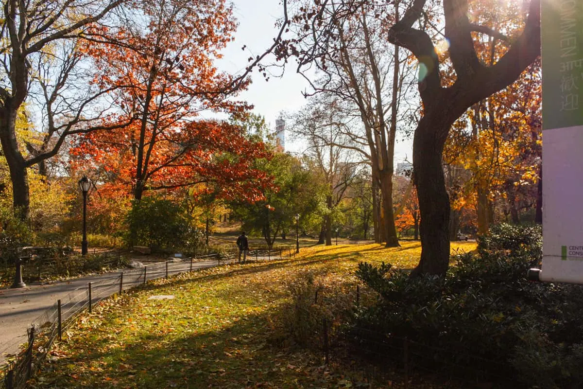 Fall colors in central Park New York.