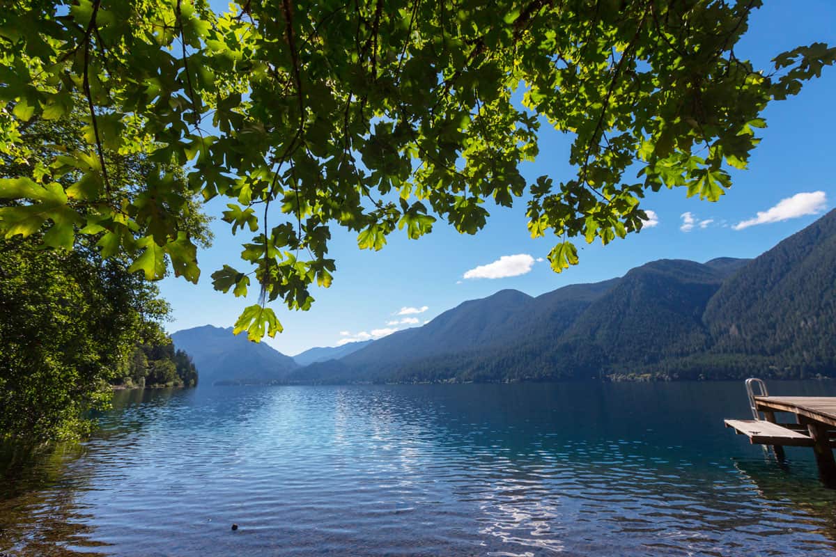 Clear water in Lake Crescent and green trees. 
