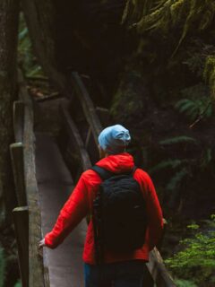 Man in red jacket hiking through moss covered forest.
