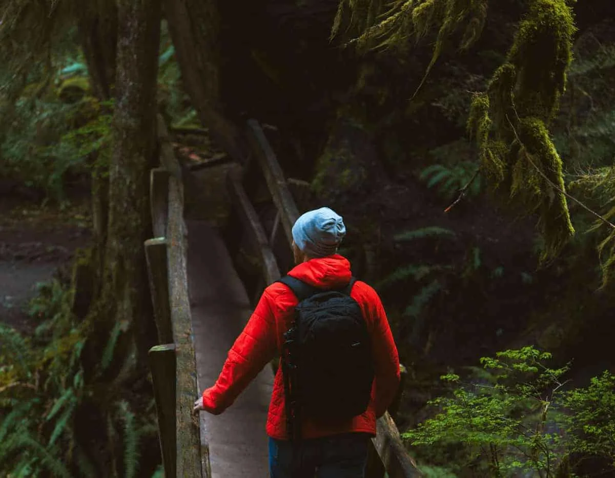 Man in red jacket hiking through moss covered forest.