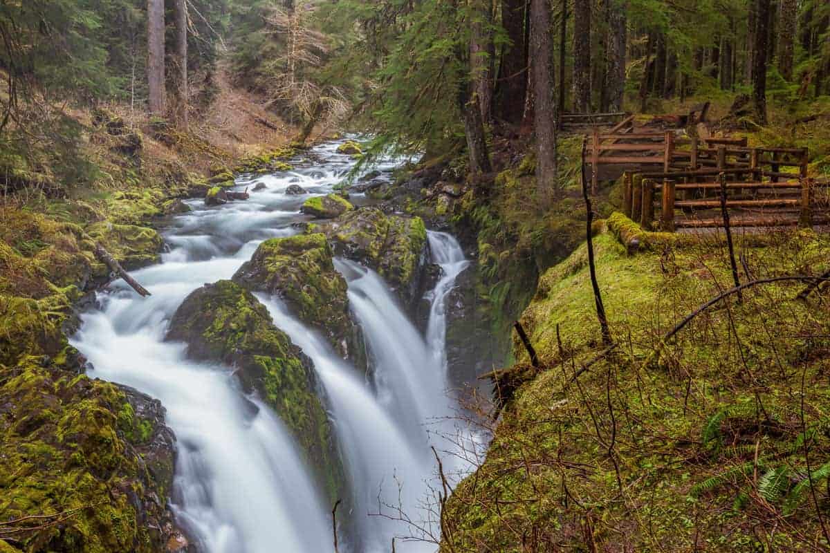 Waterfalls in lush moss covered forest.