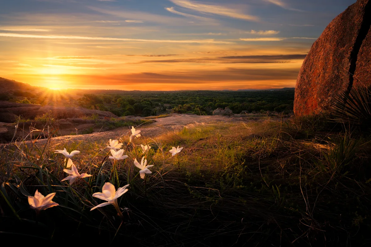 Sunset over Enchanted Rock creating a red setting with white flowers in the foreground. 