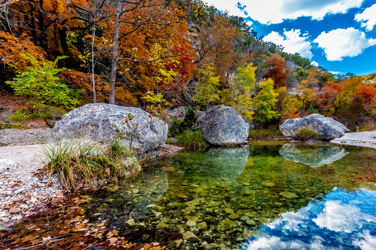 Fall foliage and grey boulders reflected in a clear pond in Lost Maples State Park Texas. 
