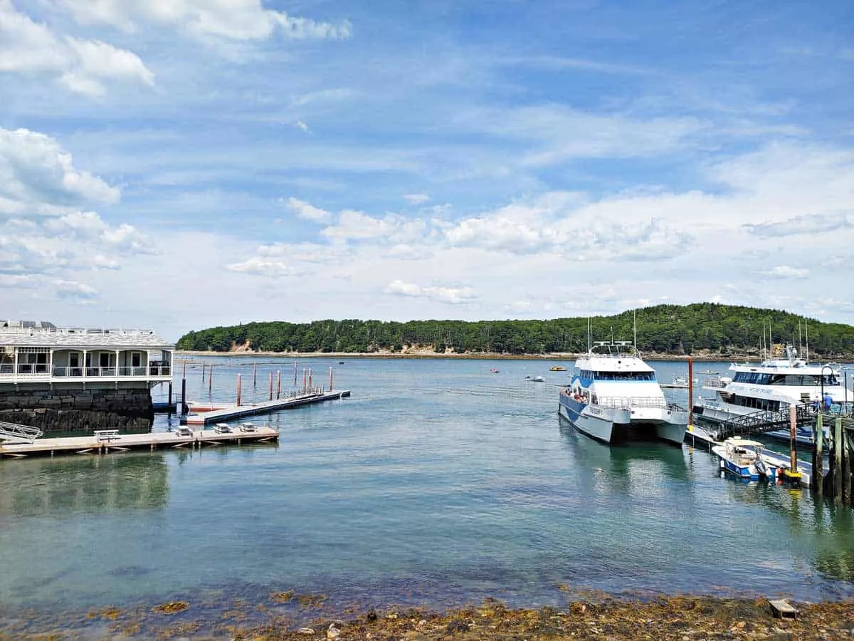 Boats mooored in Bar waterfront in Maine.