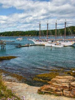 A windjammer tall ship moored at the end of a jetty in Maine.