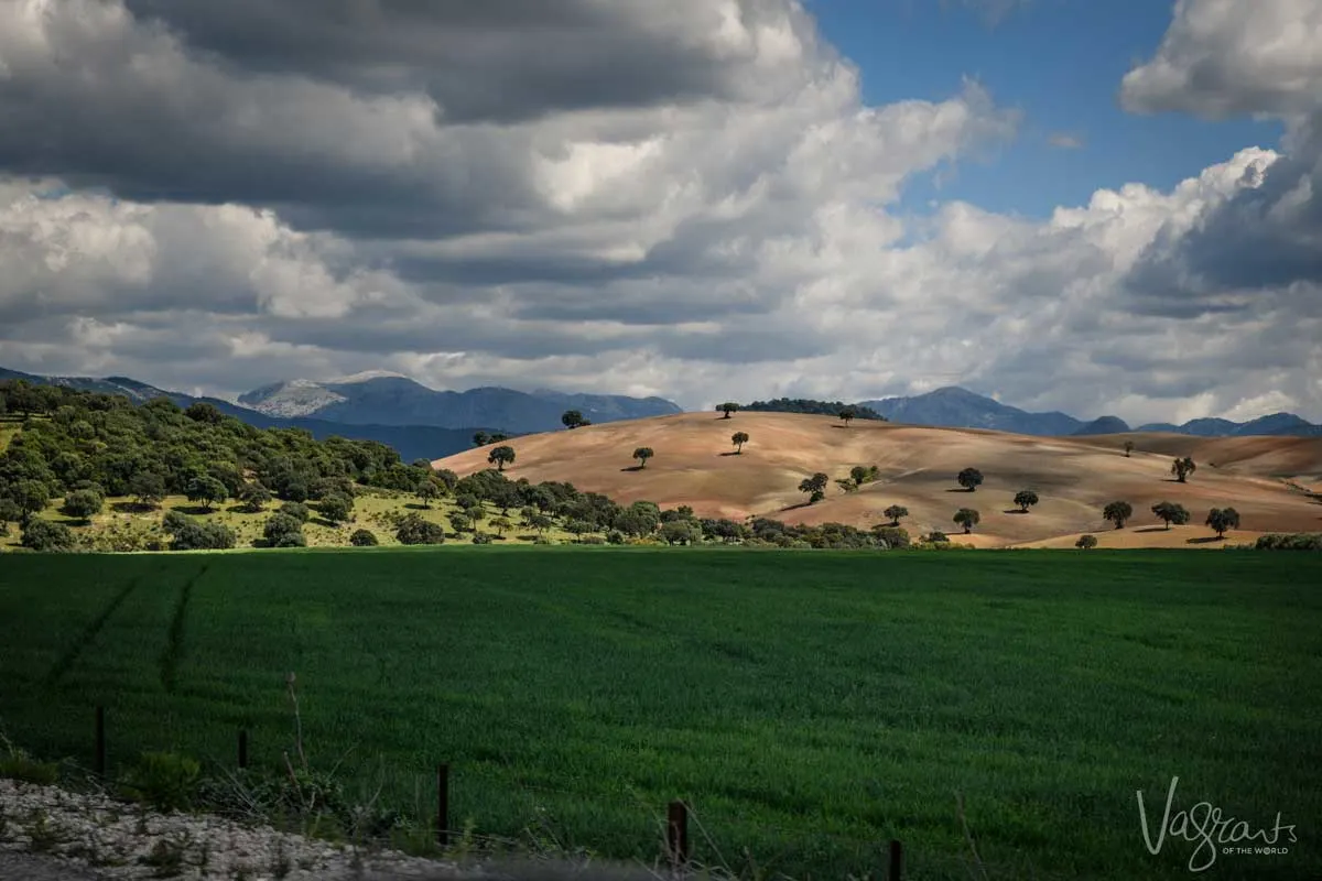 Green meadows set agains contrsating brown hills in Andalucia in Spain.