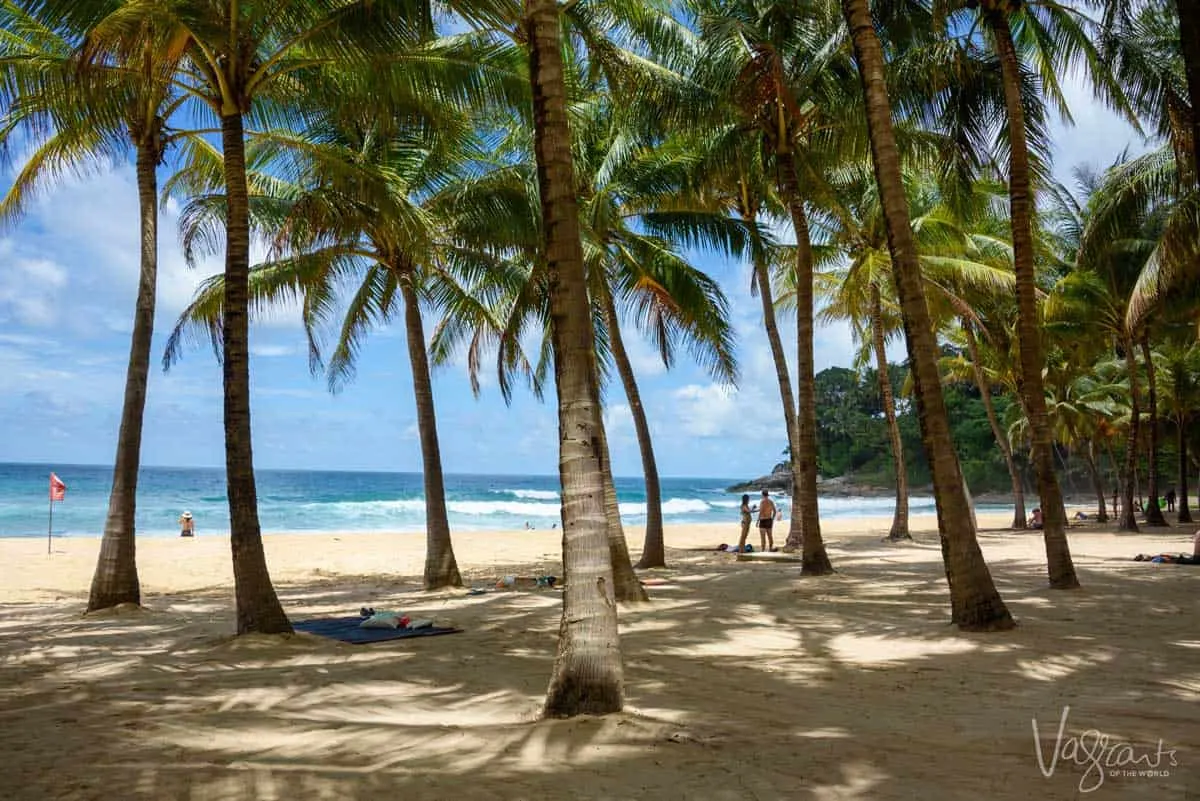 Looking through the palm trees onto the beach in Phuket Thailand.