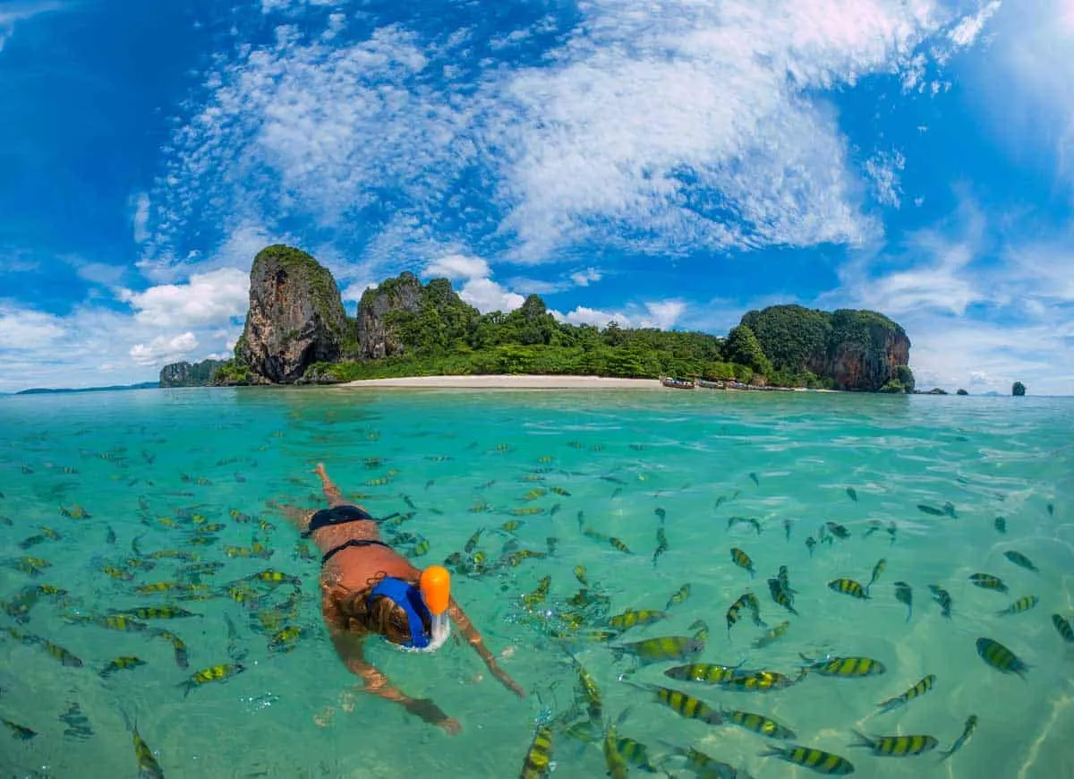 Woman snorkelling in clear water surrounded by fish in Thailand. 