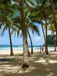 cropped-Phuket-Thailand-4.jpg