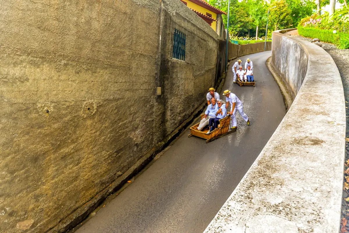 Tourists enjoying a traditional downhill toboggan ride on Madeira Island.