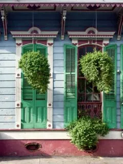 Hanging plants in front of French style New Orleans houses.