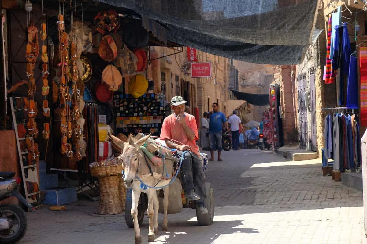 Man sitting on a donkey drawn cart in Marrakech medina.