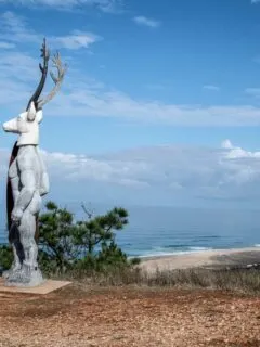 The surf deer statue at Nazaré in Portugal