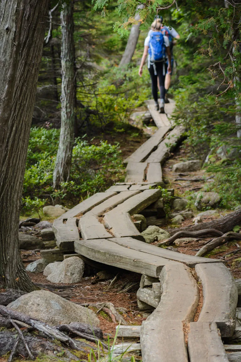 Hikers on a boardwalk trail in Acadia National Park.