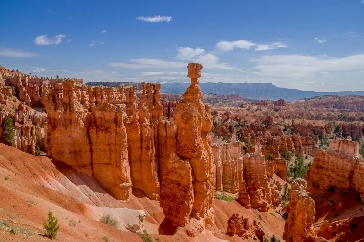 Red rock hoodoos and Thor's hammer in Bryce canyon national park Utah.