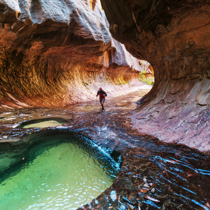 Hiker walking through shallow water in a canyon in Zion National Park.