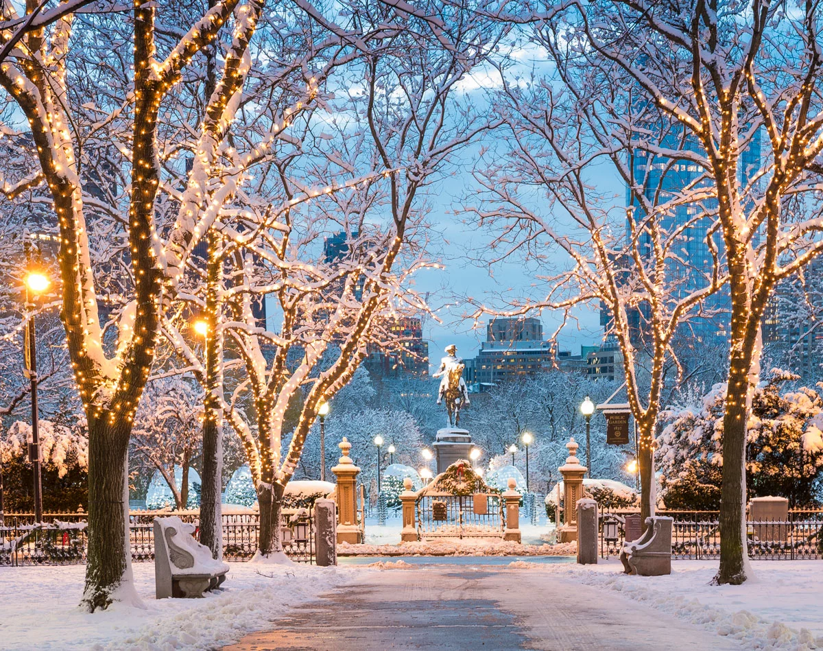 Boston's Christmas light at Commonwealth Avenue on a snowy night. 