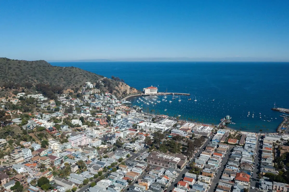 Aerial view of the half moon shaped Catalina Bay with boats moored and houses sprawling back from the coast. 