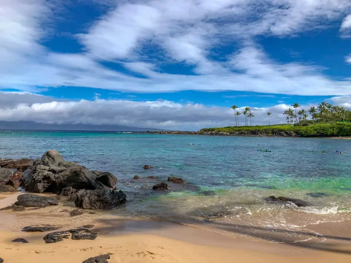 Clear blue waters on a Maui beach with palm trees and blue skies. 