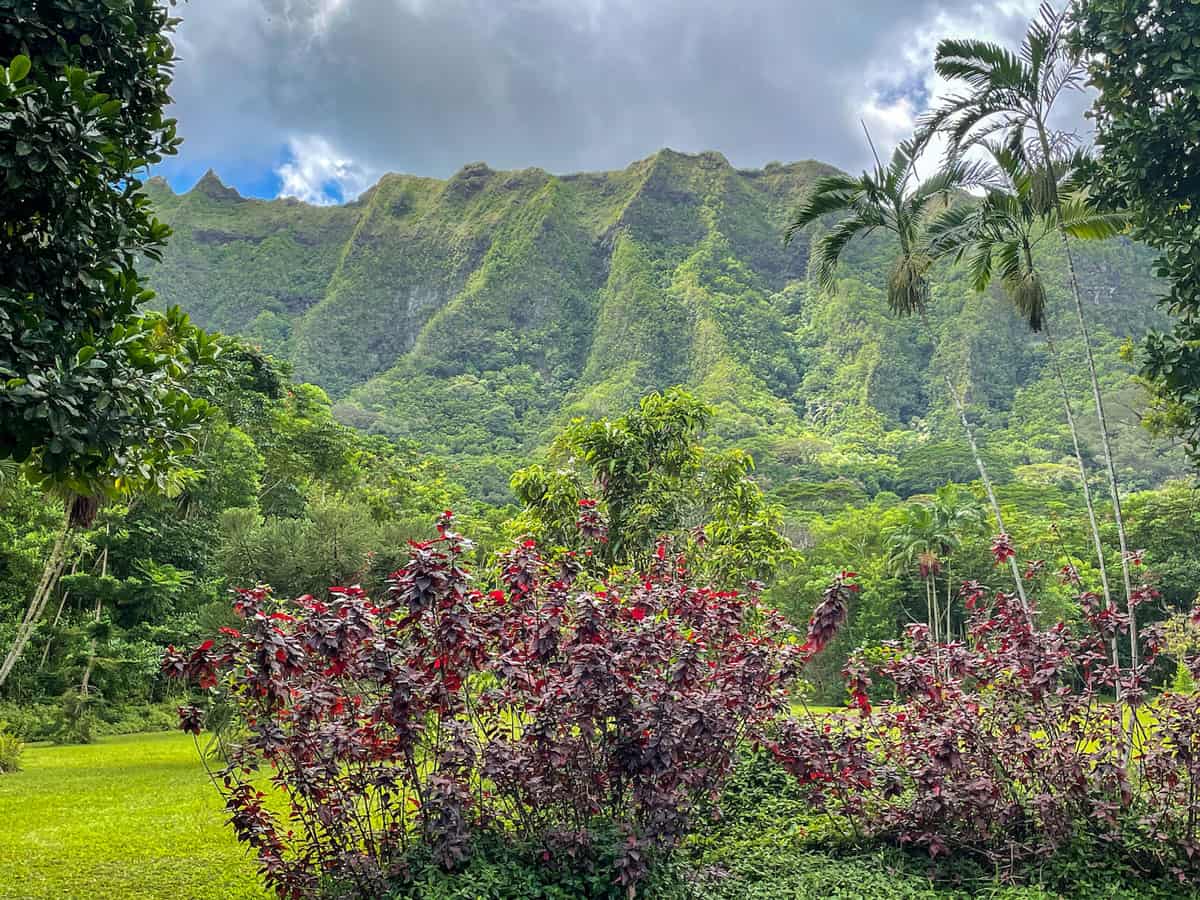 Lush green Hawaiian landscape with cloudy skies.