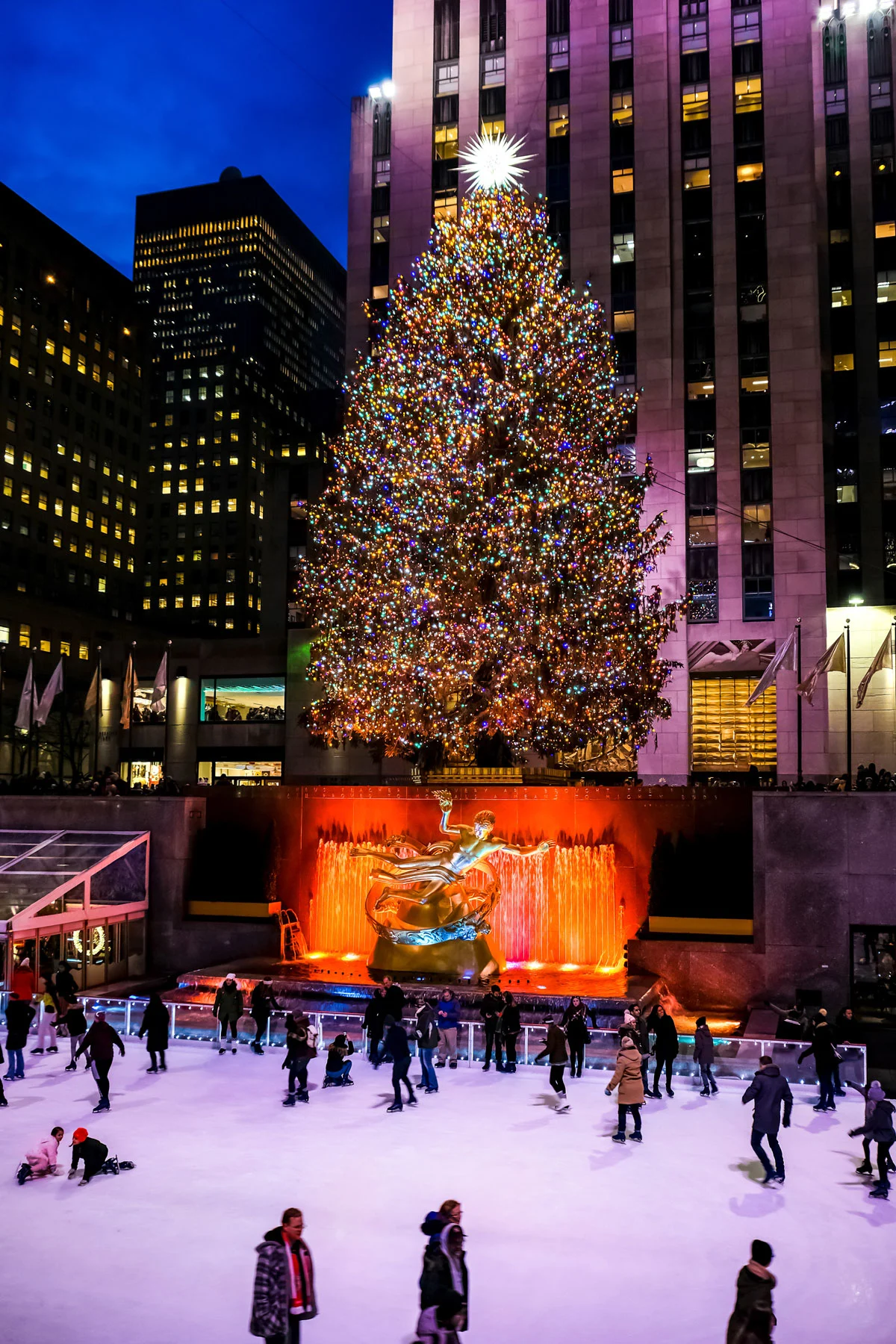 People ice skating at Saks Fifth Ave  at night in front of a giant Christmas tree with lights. 