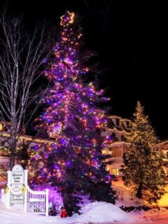 Trees decortaed in Christmas lights outside the Mirror lake Inn in Lake Placid on a snowy night.
