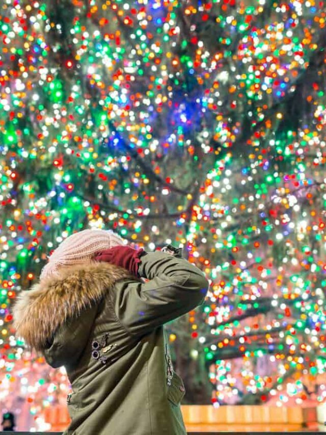The Best Places to Spend Christmas in the USA Story