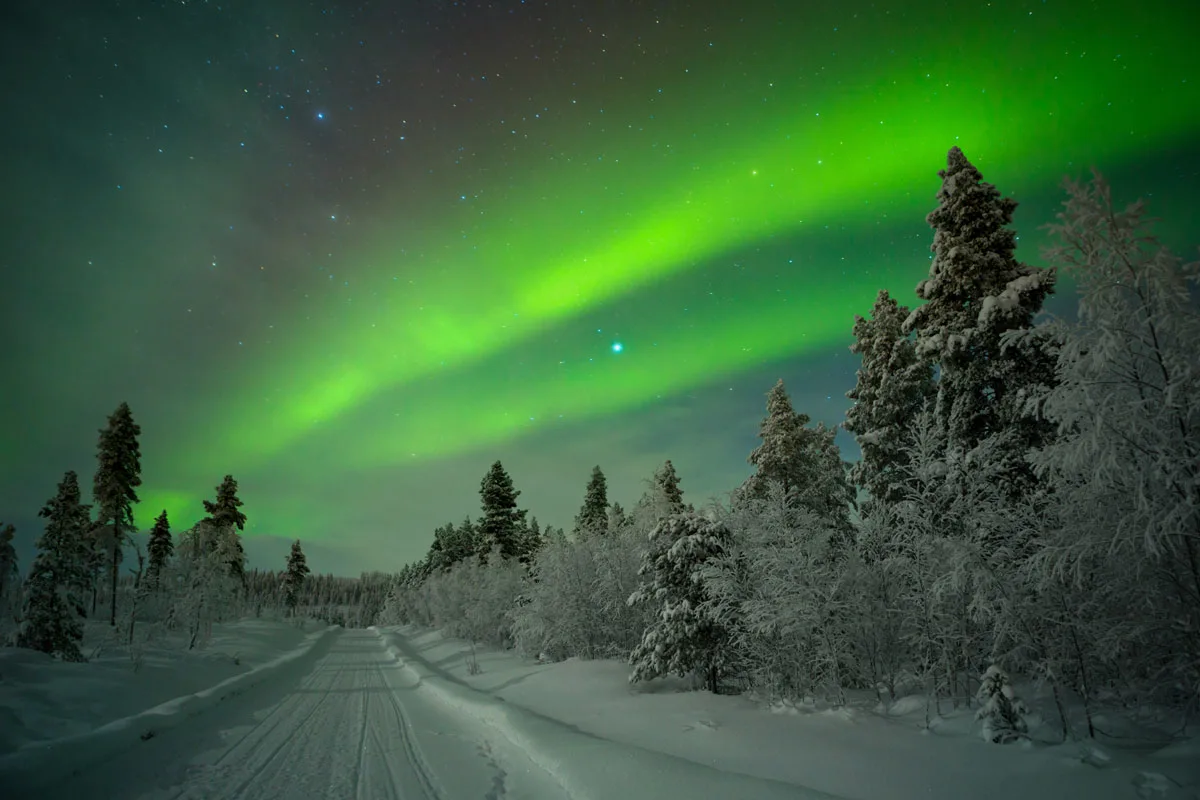 Green Aurora borealis lights over a snow covered track through winter forest landscape in Lapland. 
