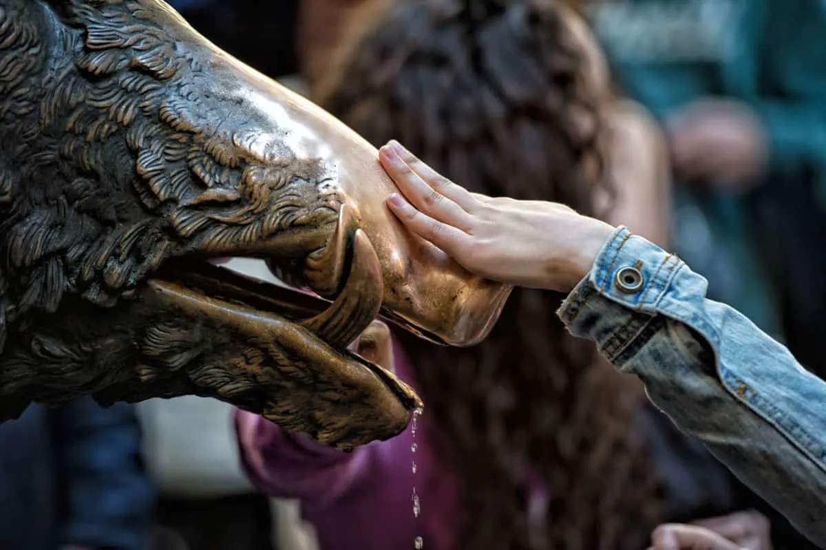 A childs hand rubs a brass statue of a boar in Florence. There is water running from the boars mouth.
