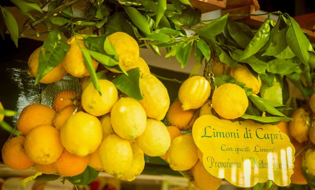 Bunches of lemons at a stall on Capri Island.