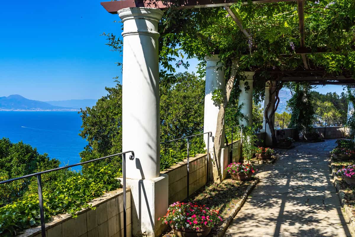 A terrace with sea views shaded with vines across the walkway. 