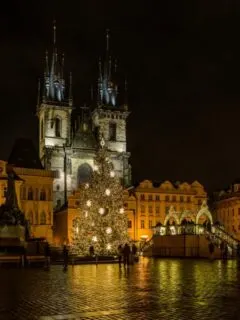 Night time in the main square in Prague. There is a large Christmas tree lit up in front of the iconic castle building with fairytale like spires on the roof.