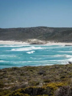 cape twon